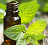 Peppermint Eucalyptus Essential Oil Blend