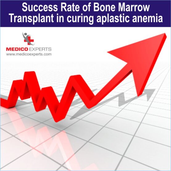 What is the success rate of Bone Marrow Transplant in curing Aplastic Anemia?