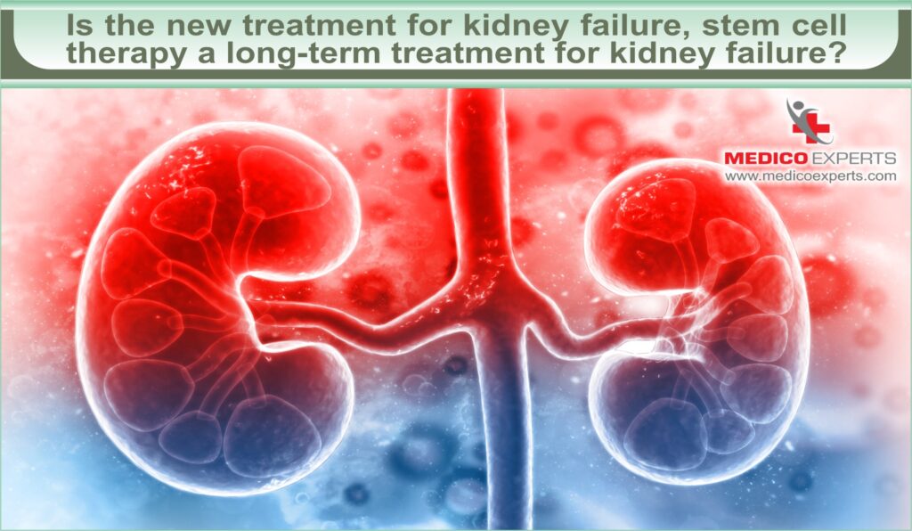 kidney failure without dialysis