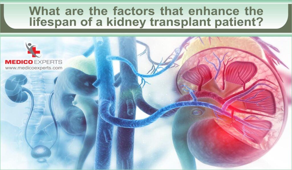 maximum life after kidney transplant | MedicoExperts