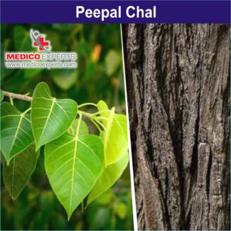 Peepal Chal