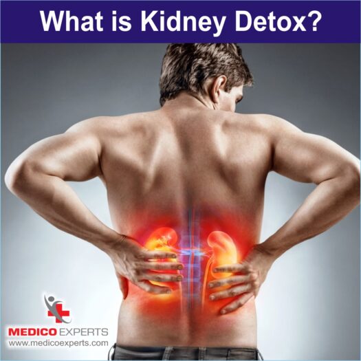 What is Kidney detox