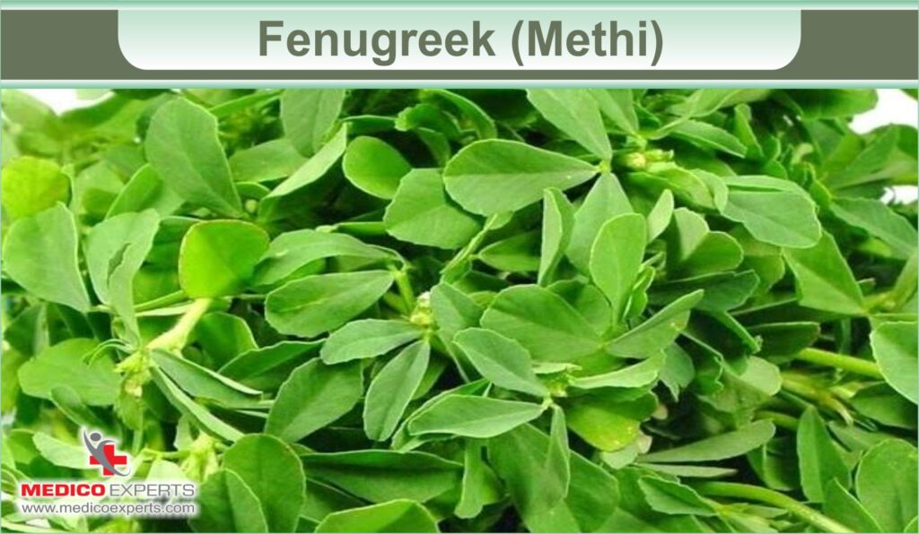 Fenugreek (Methi)