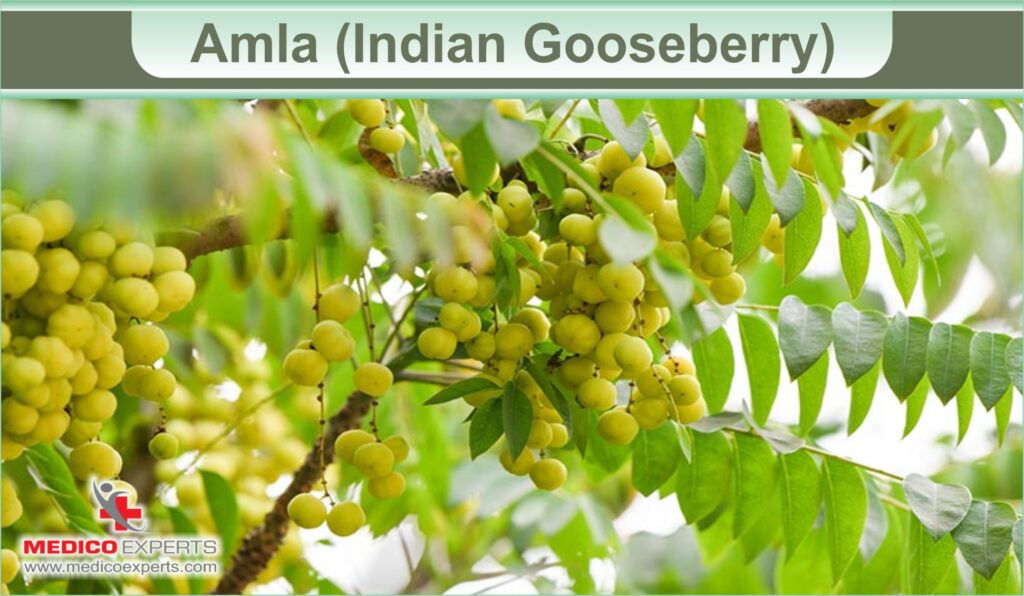 Amla (Indian Gooseberry)