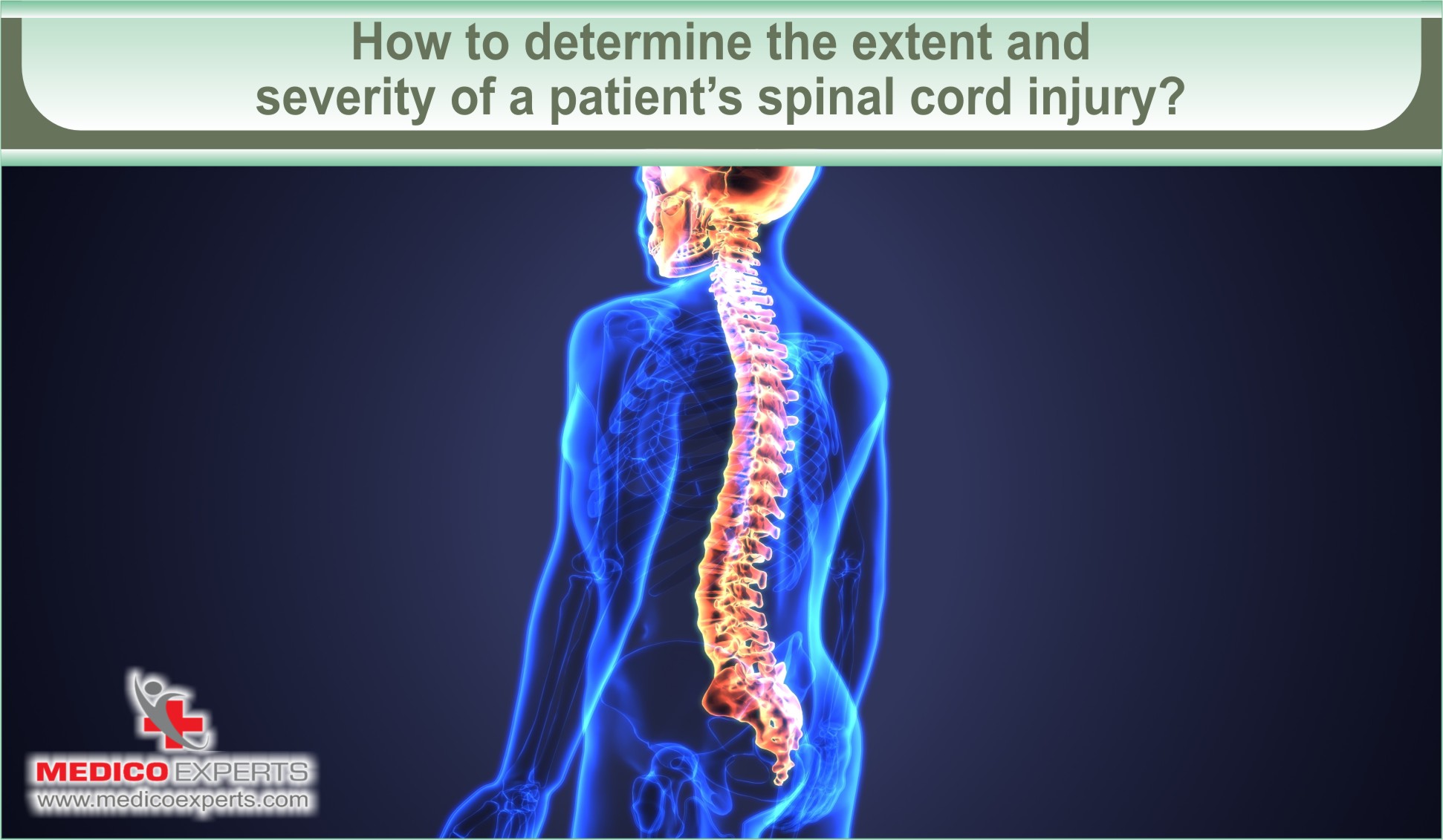 Traumatic Spinal Cord Injury Types: An Overview