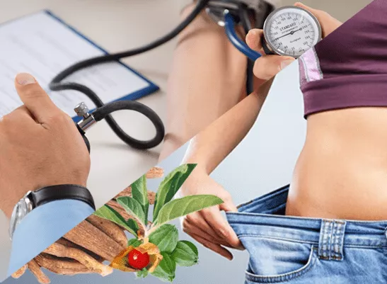 Ashwagandha Powder for Weight-Loss and Hypertension