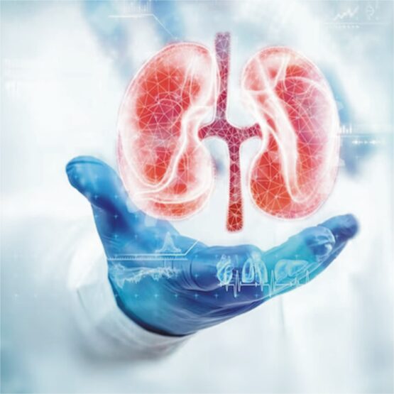 Benefits of Stem Cell Therapy for CKD
