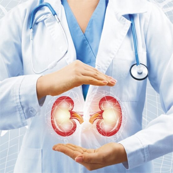 How does Stem Cell work for kidney damage?