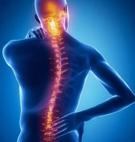 Stem Cell Therapy for Spinal Cord Injury in India, Stem Cell Therapy in India for Spinal Cord Injury