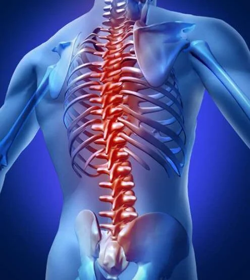 What is Spinal Cord Injury, Can stem cells cure spinal cord injuries