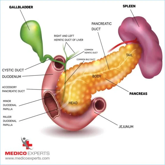 best hospital for pancreatic cancer treatment in india, How to choose the best hospital for pancreatic cancer treatment in India