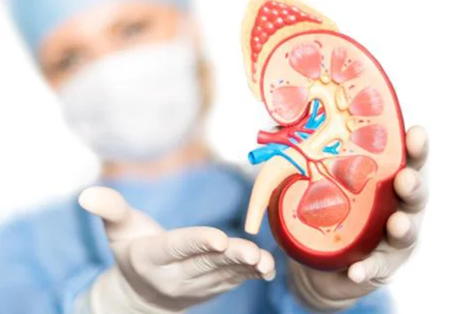 stem cell therapy for kidney failure What is Chronic Kidney disease?